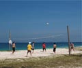 Beach Volleyball - D'Coconut Resort