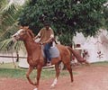 Horse Riding - Eagle Ranch Resort Port Dickson