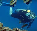 Diving - Gayana Island Resort