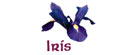 Iris House Hotel Cameron Highlands
 Logo