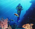 Diving - Tuna Bay Island Resort Perhentian Island