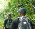Jungle-Trekking - Tuna Bay Island Resort Perhentian Island