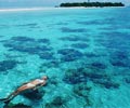 Snorkeling - The Reef Dive Resort