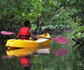 Mangrove-Kayak - Tanjung Rhu Resort Langkawi
