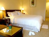 Room - Suite Hotel Jeju