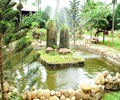 Garden - Pho Hoi Riverside