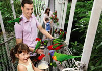 singapore day tour at jurong birdpark