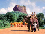 sri lanka elephant ride